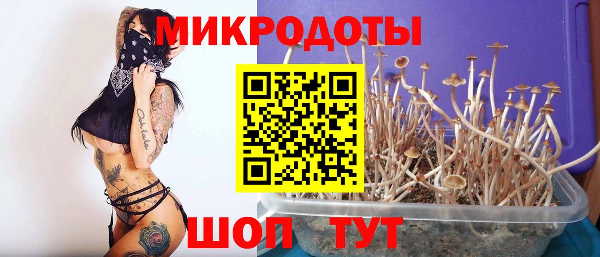 Псилоцибиновые грибы Magic Shrooms  как найти закладки  Ишим  Галлюциногенные грибы Psilocybe  Вход с VPN 