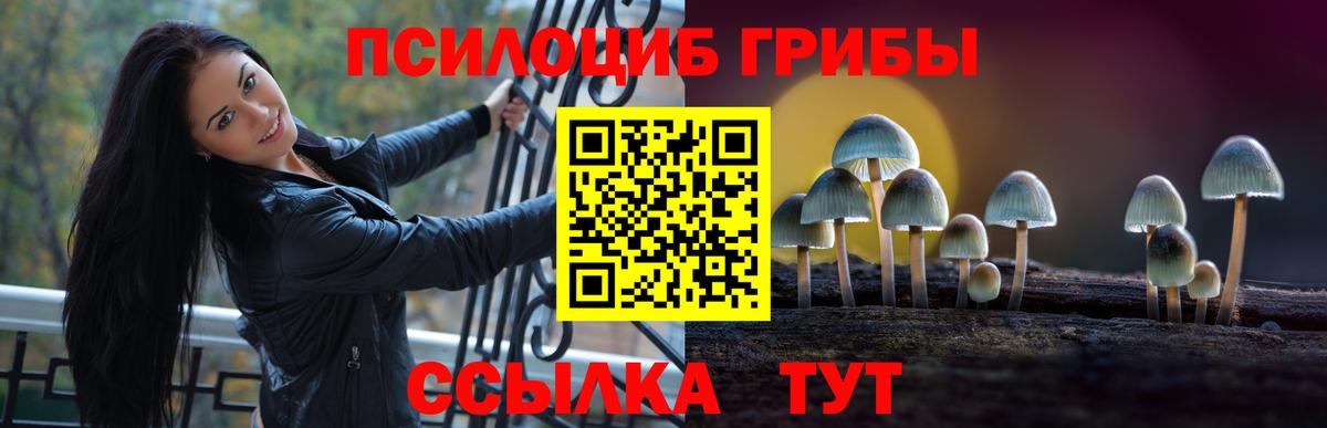 Галлюциногенные грибы прущие грибы Ишим